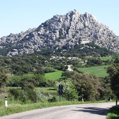 La Vignaredda - Residenza Di Charme Hotell Aggius Exteriör bild