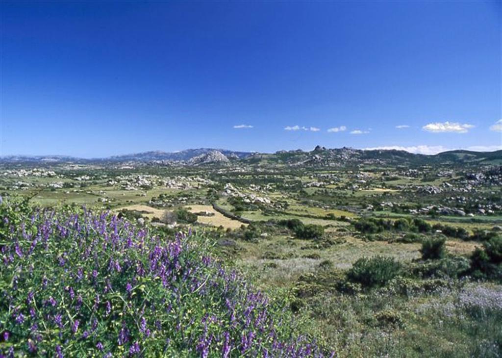La Vignaredda - Residenza Di Charme Hotell Aggius Exteriör bild