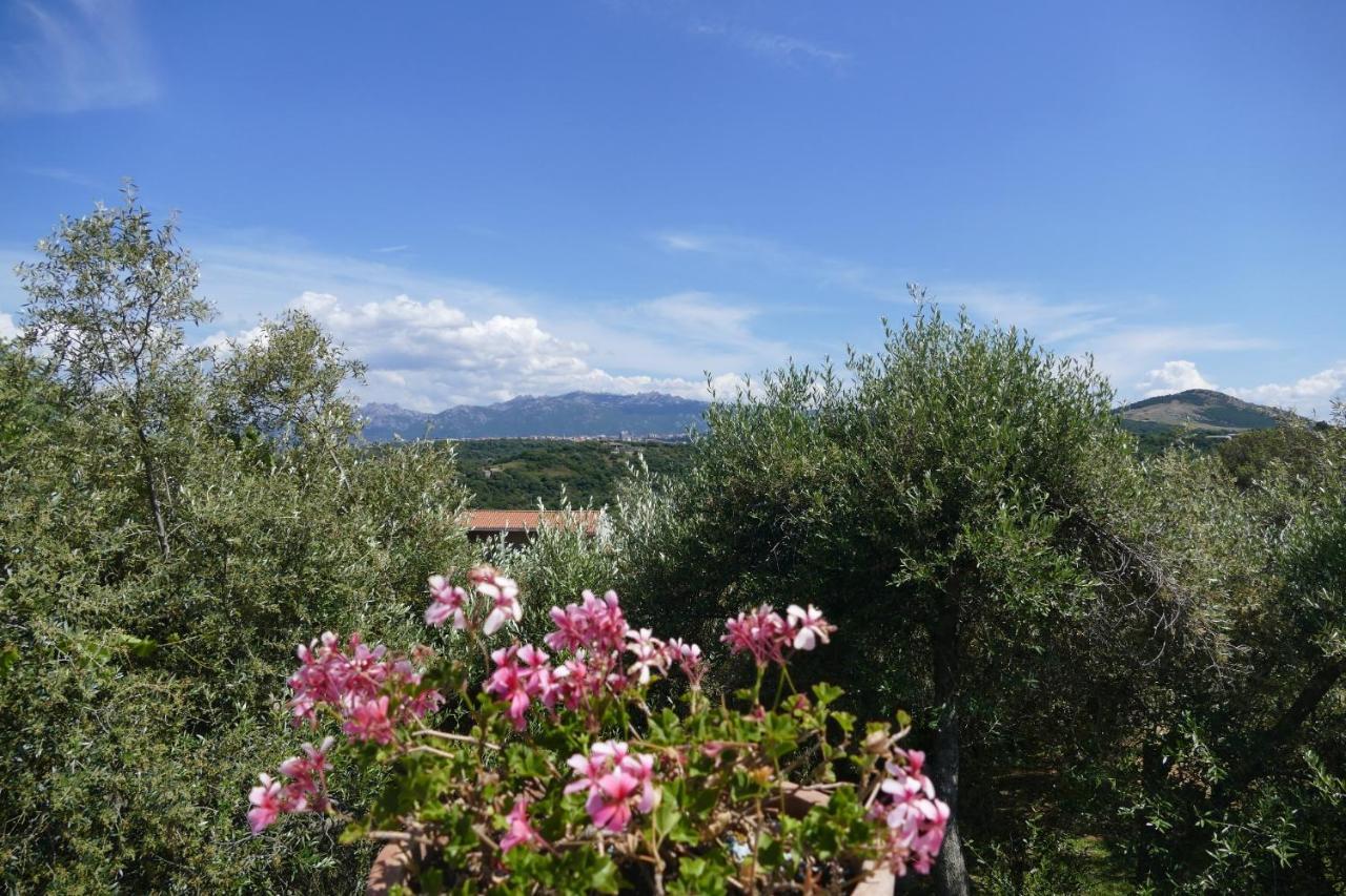 La Vignaredda - Residenza Di Charme Hotell Aggius Exteriör bild
